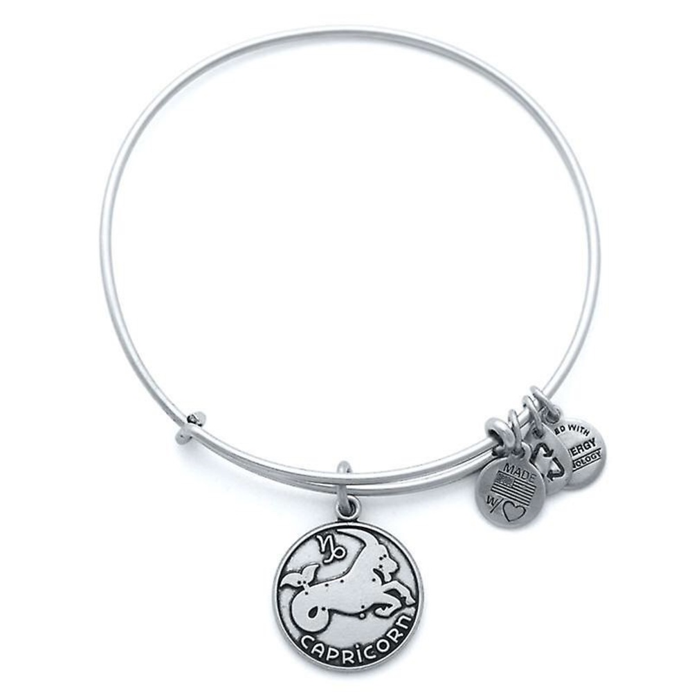 Capricorn Alex and Ani Charm Bracelet Silver